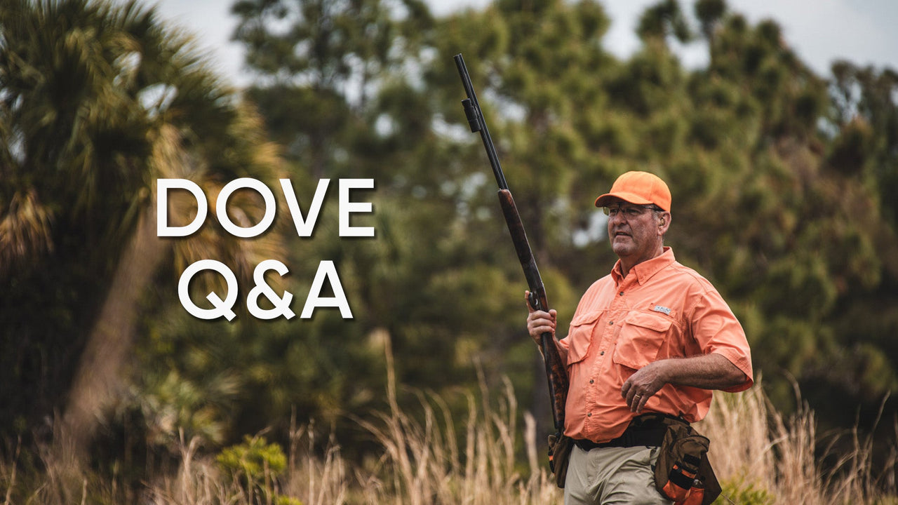 David Stewart holds a ShotKam-equipped shotgun against a backdrop of palm trees, with “Dove Q&A” text.