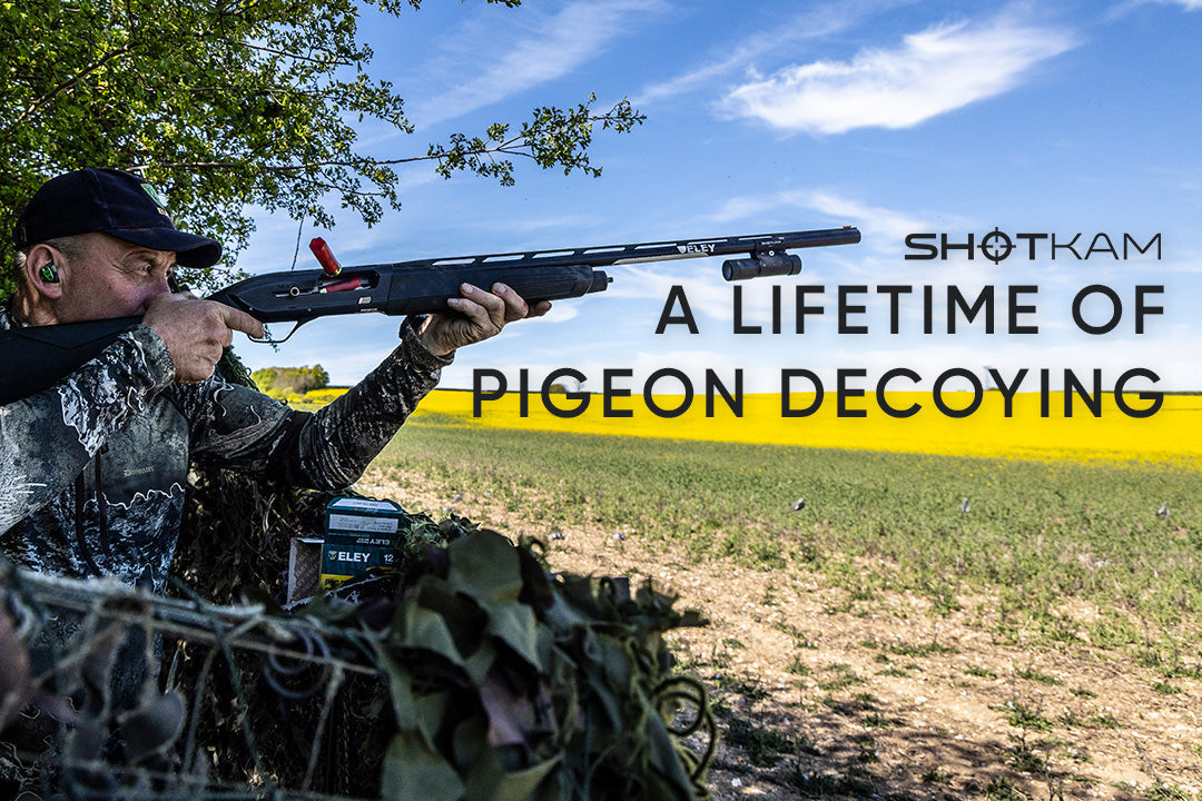 Traditional pigeon decoying scene with Geoff Garrod aiming at incoming wood pigeons, featured in the ShotKam blog