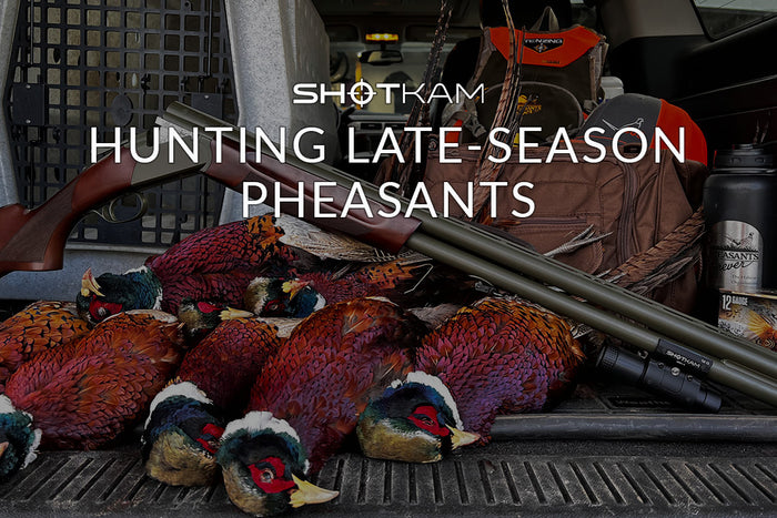 Australian hunter's vehicle filled with hunting equipment, ShotKam camera, and a display of late-season pheasants after a successful outing.