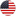 USA Flag